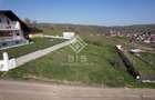 Teren de vanzare 10 ari - zona LEONI - 4