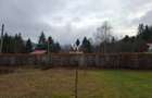 Teren intravilan, livada, langa padure,  pe Valea Avrigului - Sibiu - 10