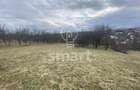 Teren intravilan cu CF 5400mp front 17 Savadisla jud Cluj - 13