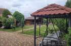 Oază de liniște cu "parc" privat în vatra satului - 2
