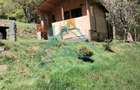 Cabana cocheta de vanzare cu teren generos 3000 mp, Baisoara! - 2