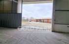 Spatiu Industrial/Depozit - Zona Calea Baciului - 575 mp Open Space - 5