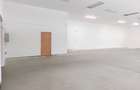 Spațiu de închiriat - 245 mp - 3