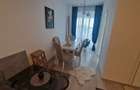 Apartament 1 camera, Zona Aradului, Mobilat si Utilat complet, Loc Parcare+Boxa - 4