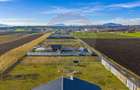 Teren intravilan 800mp Bod / Strada Iasomiei/ zona agrement Cismasu! - 10