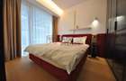 Apartament 2 camere în zona Floreasca Business Park Promenada Mall - 10