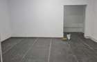 Hale + Atelier Mecanic + Birouri - 4