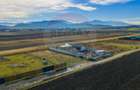 Teren intravilan 800mp Bod / Strada Iasomiei/ zona agrement Cismasu! - 5