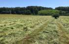 Teren arabil de 630 hectare în Galați - 2