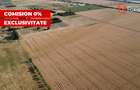 COMISION 0% Teren de vanzare intravilan de 24.700 mp - Padureni - 6
