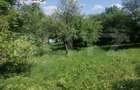 Teren intravilan, 4780 mp, zona Harbarie - 1