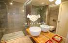  Gradina Icoanei  - Penthouse tip duplex - - 17