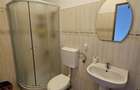 Apartament 2 camere pe 2 nivele FAGET - 19