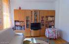 Lunei - Ion Neculce, 2 Apartamente. Mansarda 157 mp. Anexe, Lot 475 mp - 30