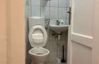 APARTAMENT RENOVAT 2 CAM DEC CU GRADINA LA VILA PARTER, SINGUR PE ETAJ   - 15