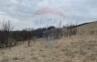 Teren intravilan 2307 mp în Salicea, zona premium, aproape de Cluj - 12