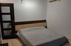 Apartament cu 2 camere, zona Nicolina - 10