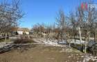 Casa 5 camere + teren 1845 mp Sanandrei - 2