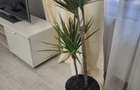 3 Splendida in Primaverii, renovat recent, curte, parcare,INCHIRIATA - 16