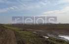 VANZARE TEREN 13.300 MP | TUNARI | - 6