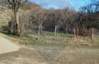 Teren 1.736mp Chițești-AG, Ideal Casă, Deschidere la Asfalt, Utilități - 6