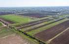Vanzare teren intravilan 500 mp Sabareni /  Strada Orhideelor - 11