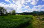 Teren 9000 mp intravilan Piatra Neamt , ideal investitie - 8