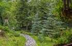 Vila de vanzare in Sinaia - 14