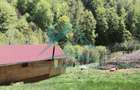 Cabana cocheta de vanzare cu teren generos 3000 mp, Baisoara! - 3