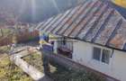 Casa + teren 5062 mp de vanzare – Targu Neamt - 5