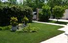Corbeanca Park | Casa cu curte si loc de promenada, circuit privat, langa padure - 3