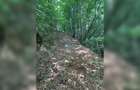 Teren cu potențial turistic, cadru natural rar, 20.000 mp  Sacuieu - 10