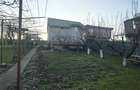 Casa Spatioasa P+M in Ovidiu Sud – Liniste, Curte Generoasa si Acces Rapid spre - 17