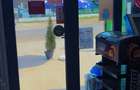 De vânzare afacere + containere comerciale super oportunitate | Pantelimon  - 4