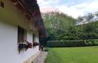 Casă cu arhitectura traditionala romaneasca I Salicea I Cluj - 25