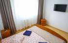 33600   Apartament 3 camere Sat Vacanta - 12
