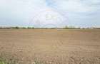 Teren Intravilan 1300 mp / Extravilan 3.700 mp/ DJ 196B Carei (DN 1F) – Foieni - 7