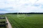 OPORTUNITATE INVESTIȚIE:Teren intravilan 25.000mp Dascălu-Pădure, parcelabil - 10