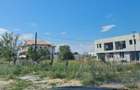 Teren de vanzare in Palazu Mare 509 mp - 6