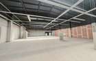 Spatiu comerical pretabil showroom - Sala Fitness - Padel - 7