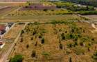 Parcele case cu vedere spre pădure – între Timișoara si Giarmata Vii - 3