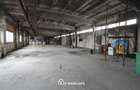 Hala 400 mp - Zona Depozitelor - 3