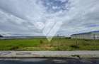 Teren intravilan industrial 11.059 mp, PUZ aprobat, asfalt - zona Vest - 2