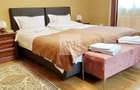 Apartament Deosebit Piața Unirii - 1