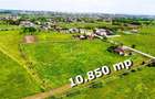 Teren generos si versatil - 10.850 mp | Balta Blonda | Diverse proiecte - 1