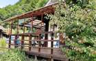 Proprietate pe Valea Vâlsanului – Cabane din lemn + Casă ecologică COB - 7