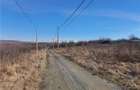 Loturi de la 430 la 480mp teren intravilan pentru contructii - Daia Nouă - 9