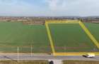 Teren pentru proiect de case in Buftea, cu deschidere la lacul Buciumeni - 3