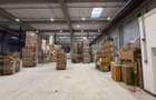Spațiu industrial de închiriat – Hală logistică 576 mp, CTP Afumati - 4