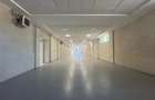 Spatiu Valea Lupului, Antibiotice, multifunctional, 334mp - 17